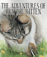 The Adventures of Rey the Kitten