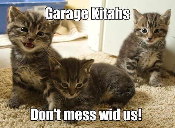 LOL kitten by Disastercat