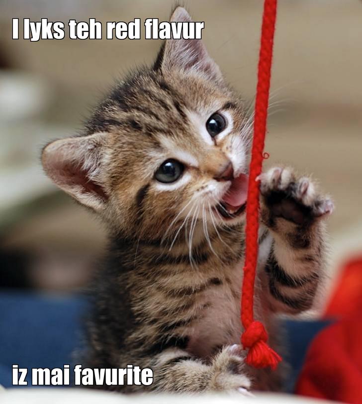 LOL kitten by LeCrosse