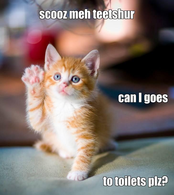 LOL kitten by Mittebam