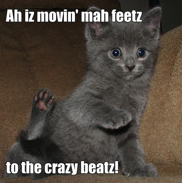 LOL kitten by MomcatSooma