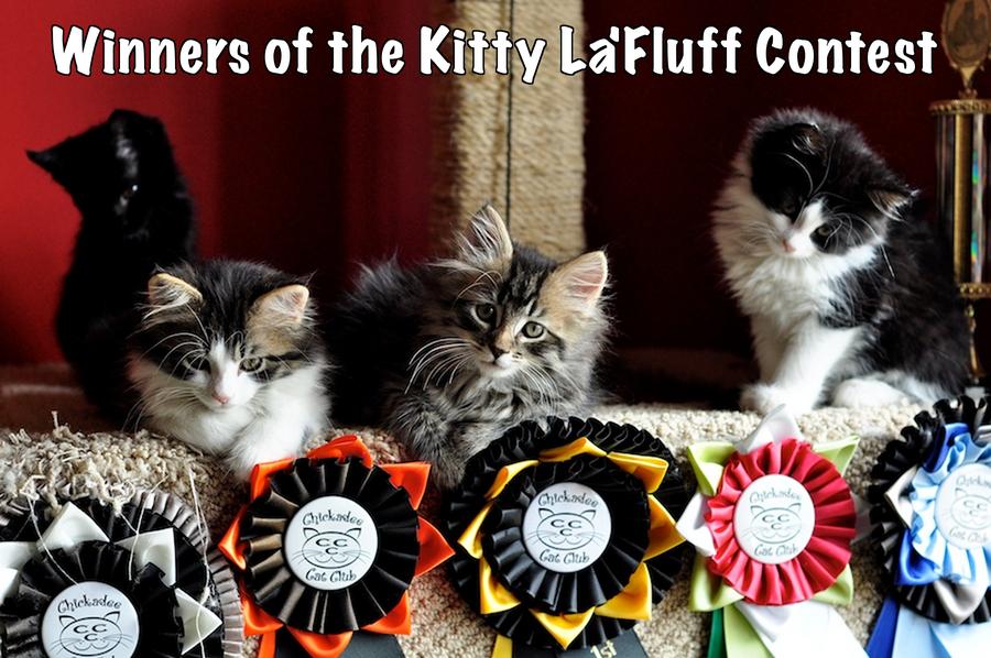 LOL kitten by Rattler