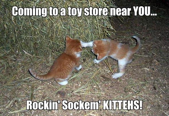 LOL kitten by RobinSpringer