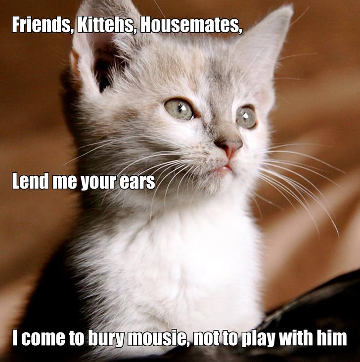 LOL kitten by ksilver