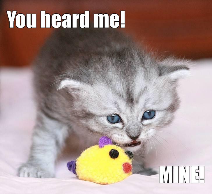 LOL kitten by ksilver